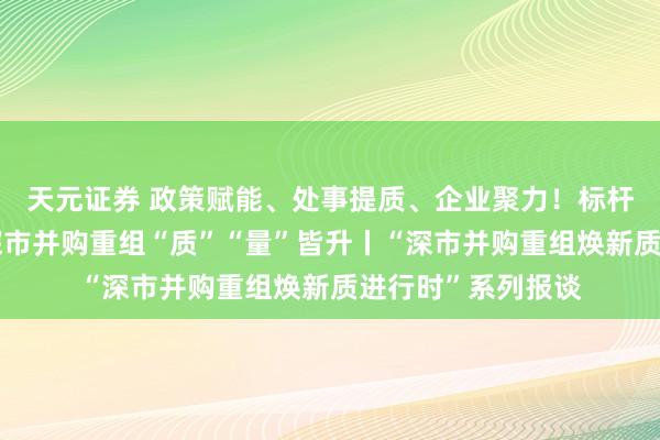 天元证券 政策赋能、处事提质、企业聚力!标杆款式密集落地,深市并购重组“质”“量”皆升丨“深市并购重组焕新质进行时”系列报谈