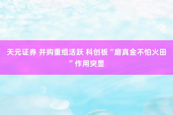 天元证券 并购重组活跃 科创板“磨真金不怕火田”作用突显