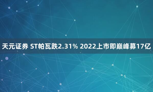 天元证券 ST帕瓦跌2.31% 2022上市即巅峰募17亿