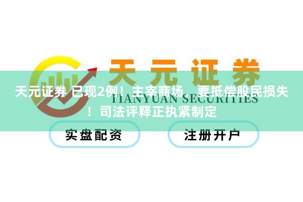 天元证券 已现2例!主宰商场,要抵偿股民损失!司法评释正执紧制定