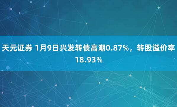 天元证券 1月9日兴发转债高潮0.87%，转股溢价率18.93%