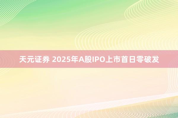 天元证券 2025年A股IPO上市首日零破发