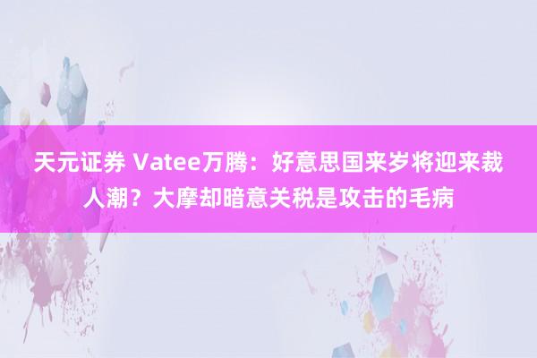 天元证券 Vatee万腾：好意思国来岁将迎来裁人潮？大摩却暗意关税是攻击的毛病
